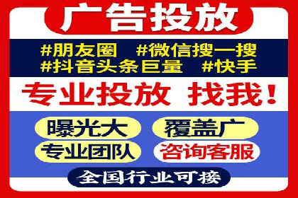 XX行业竞价广告的投放策略与效果分析